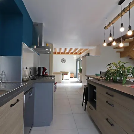 Grande Maison Familiale Avec Sauna Et Jardin - Fr-1-497-136